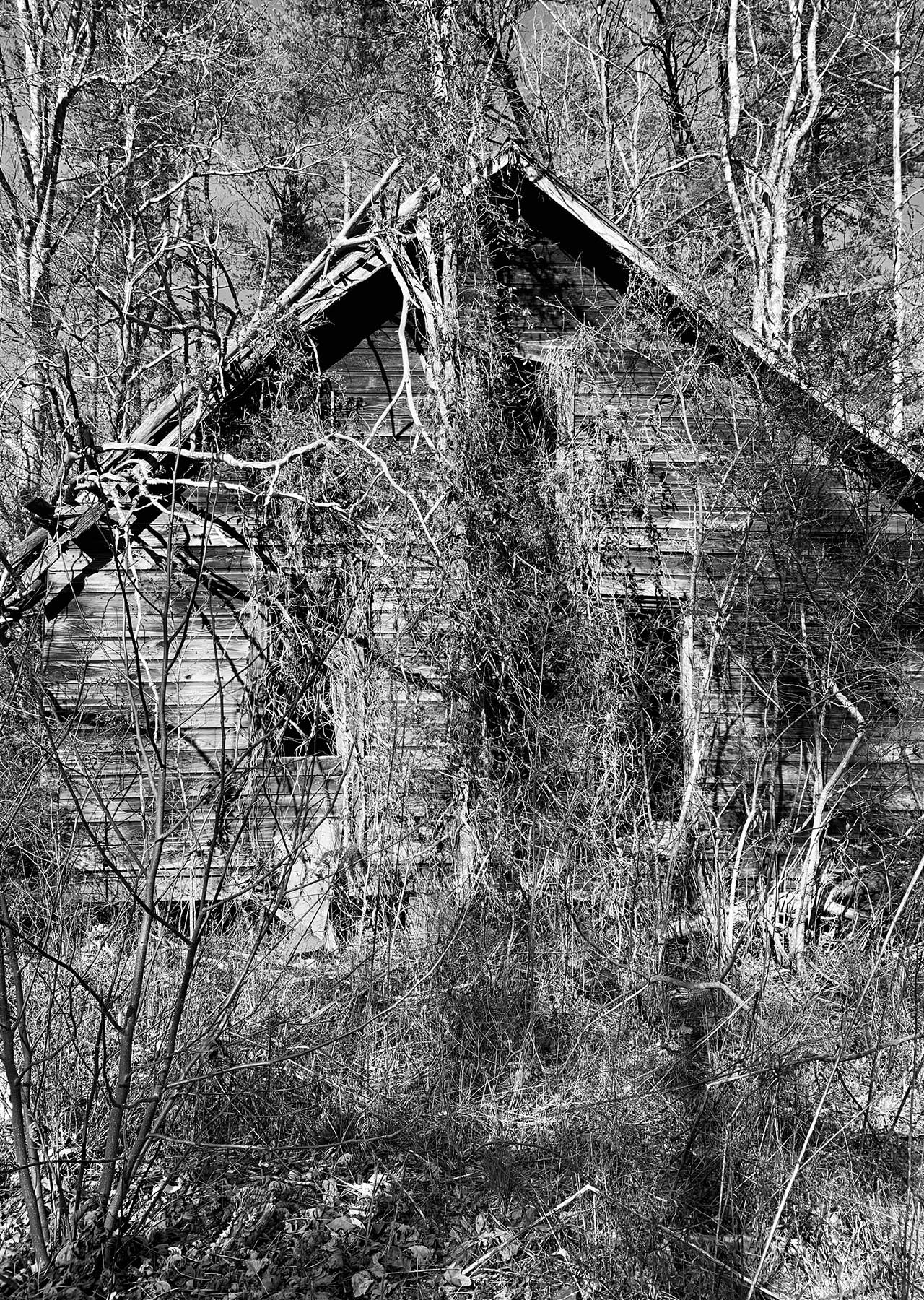 The original home of Guy and Nina Burch located on Burnt School House Road. (Photograph by Marianne Leek.)