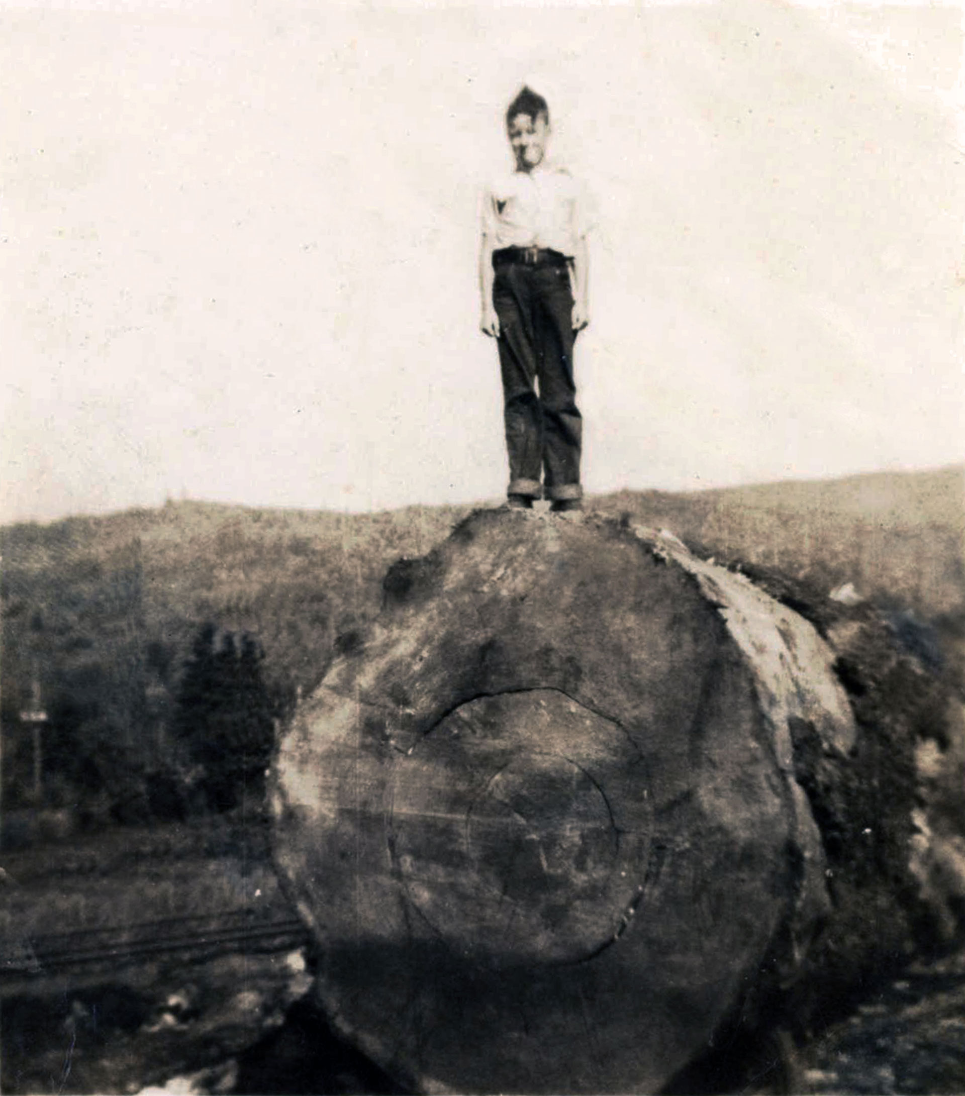 David Burch on a giant log in Ryderwood.