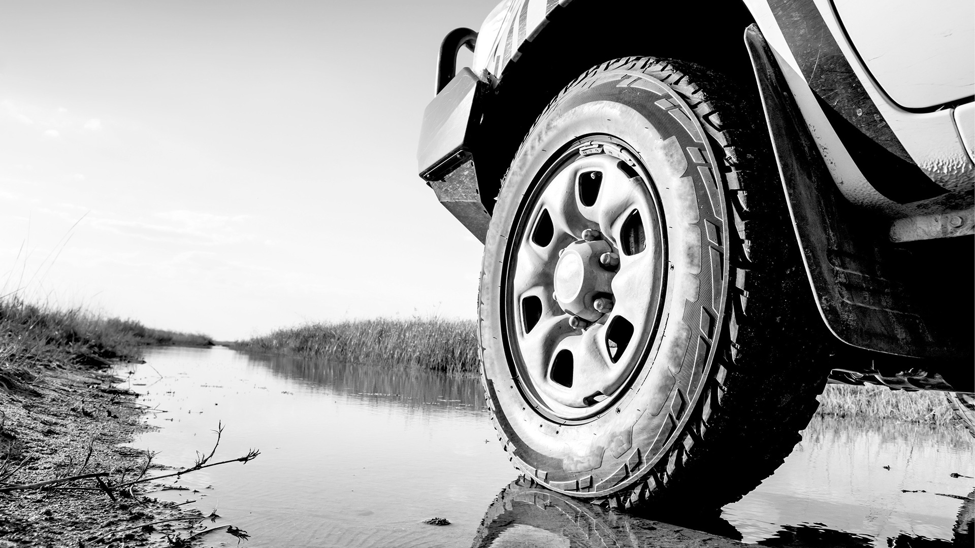 COMPRESSED-truck-stream-Down-South---3-of-4 COMPRESSED-truck-stream-Down-South---3-of-4