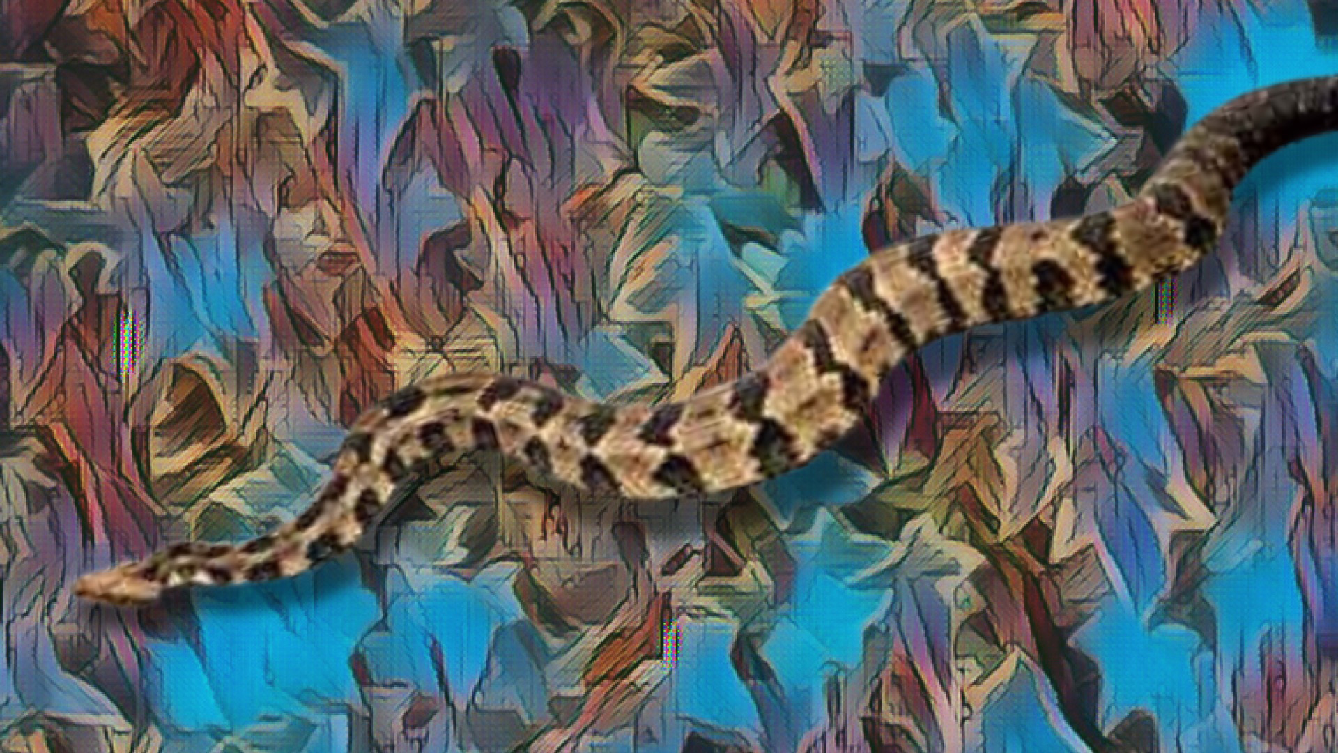 COMPRESSED-RATTLER