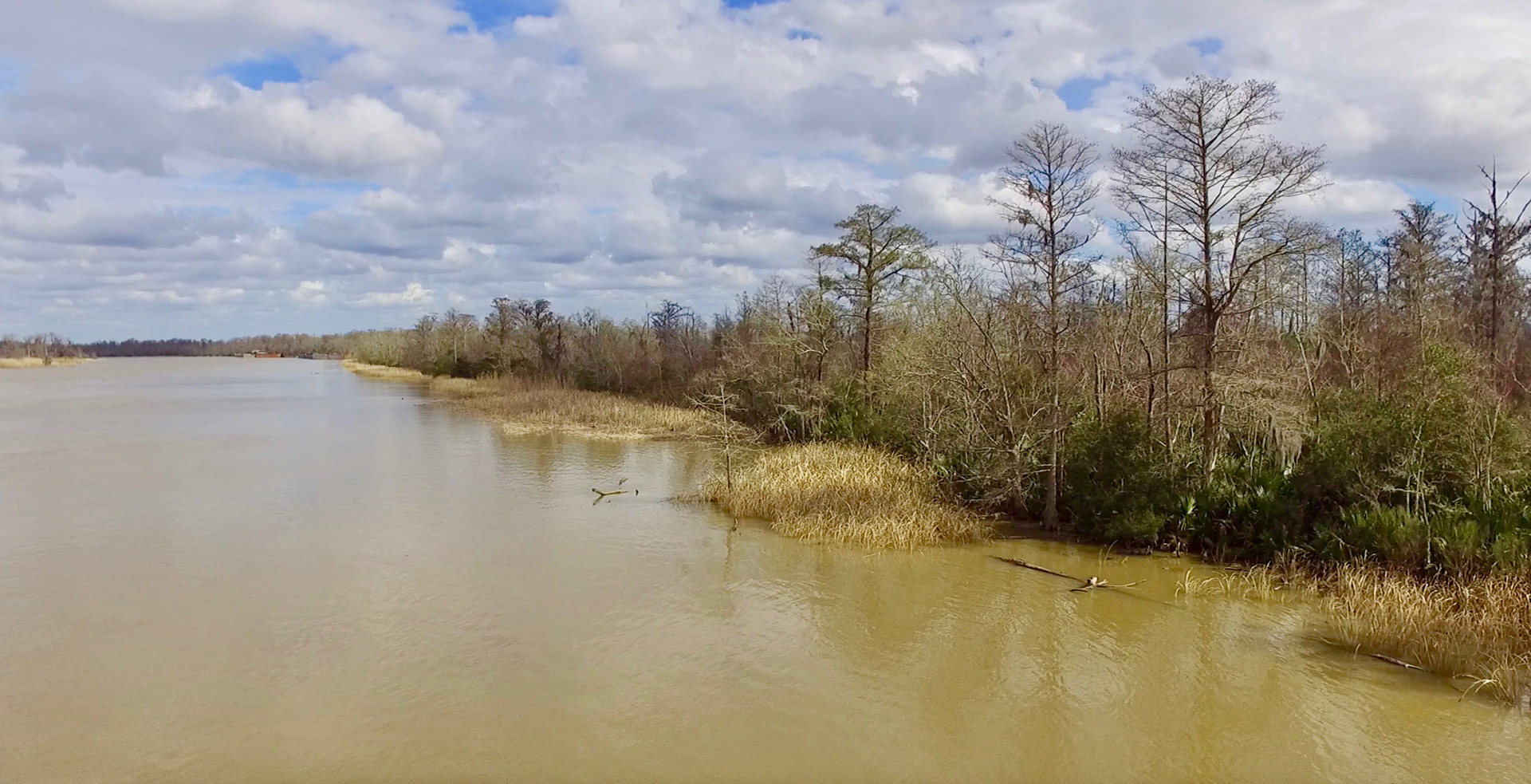 This is the stretch of shoreline where the Clotilda was discovered. It is in the Mobile River alongside 12-Mile Island. (Photograph by Ben Raines)