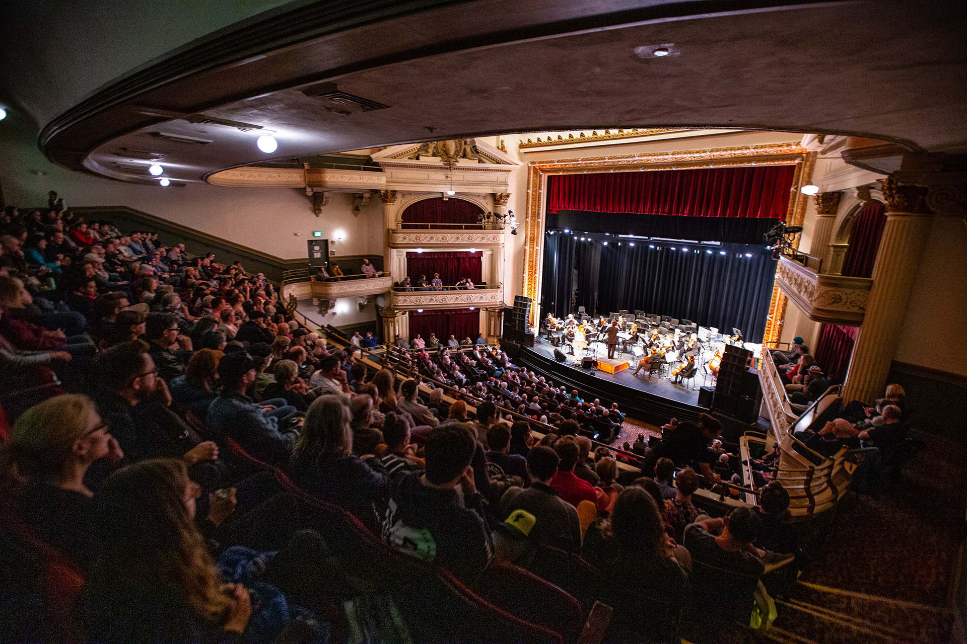 Shara Nova with the Knoxville Symphony Orchestra (photograph by Cora Wagoner)