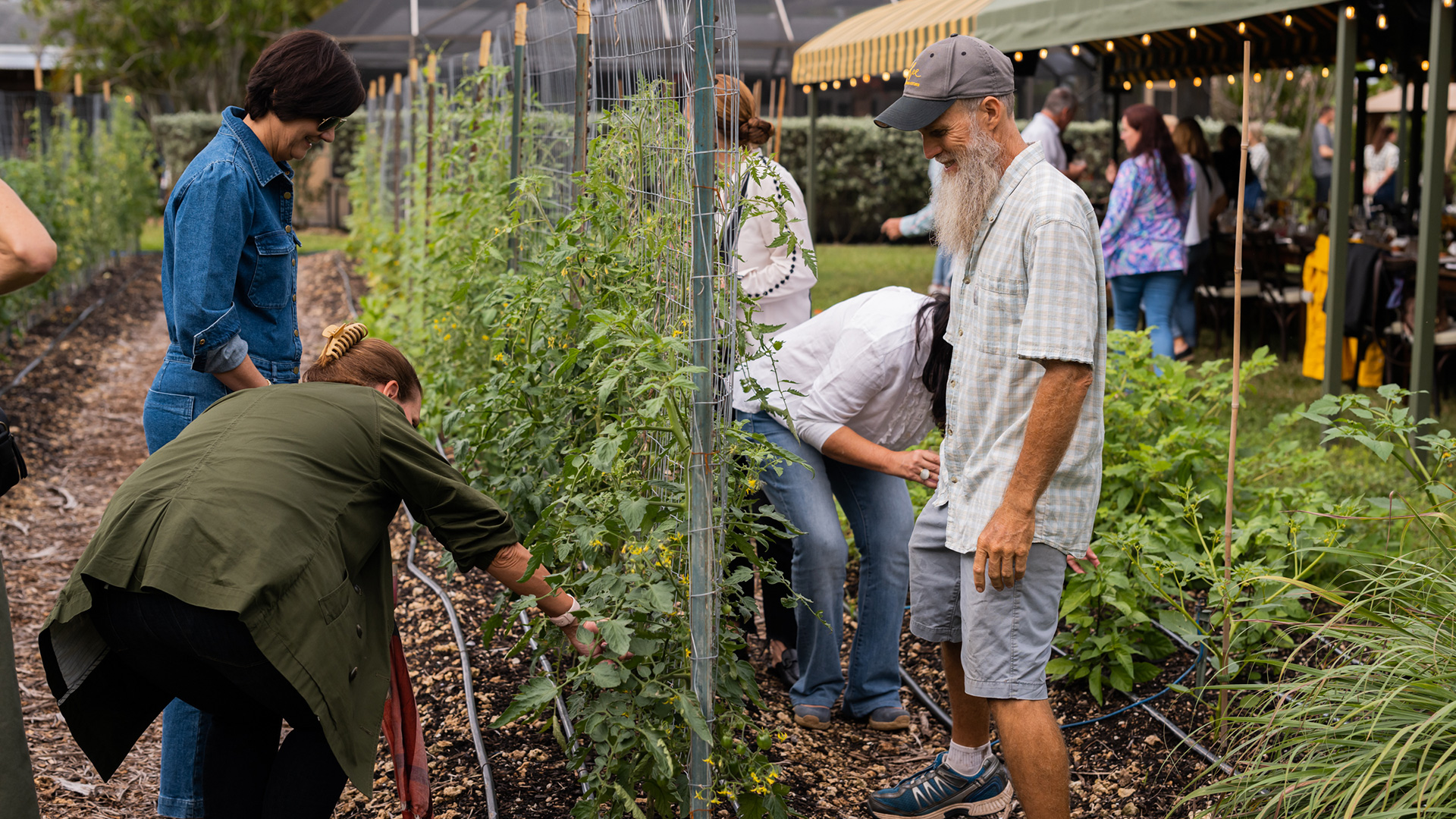 CONDENSED-guests-at-rancho-068_by_ADINAYEV Patrons pick vegetables at Rancho Patel, Chef Niven Patel's farm in Homestead, Florida.