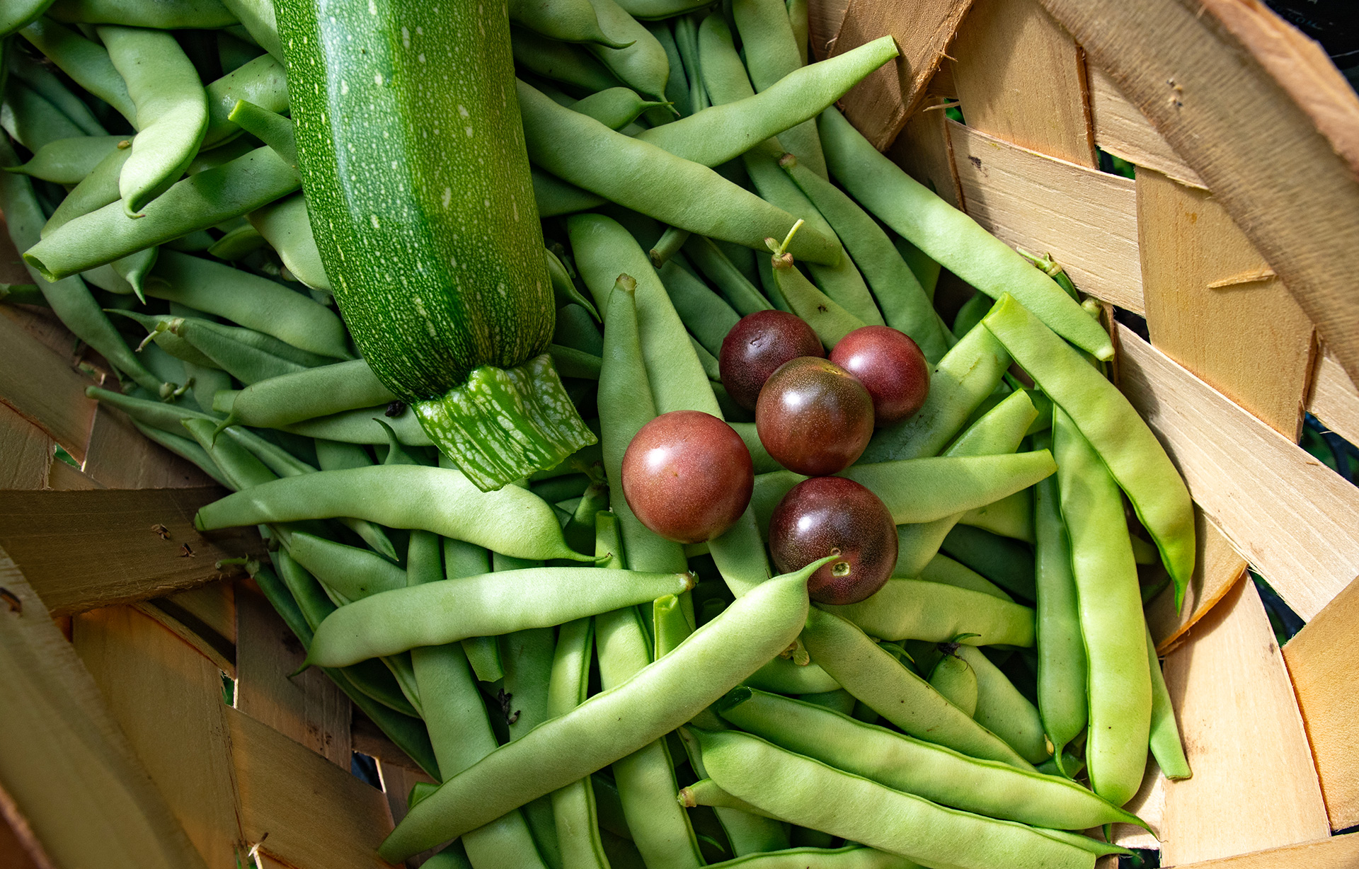 CONDENSED--David-Joy-harvest-basket CONDENSED--David-Joy-harvest-basket
