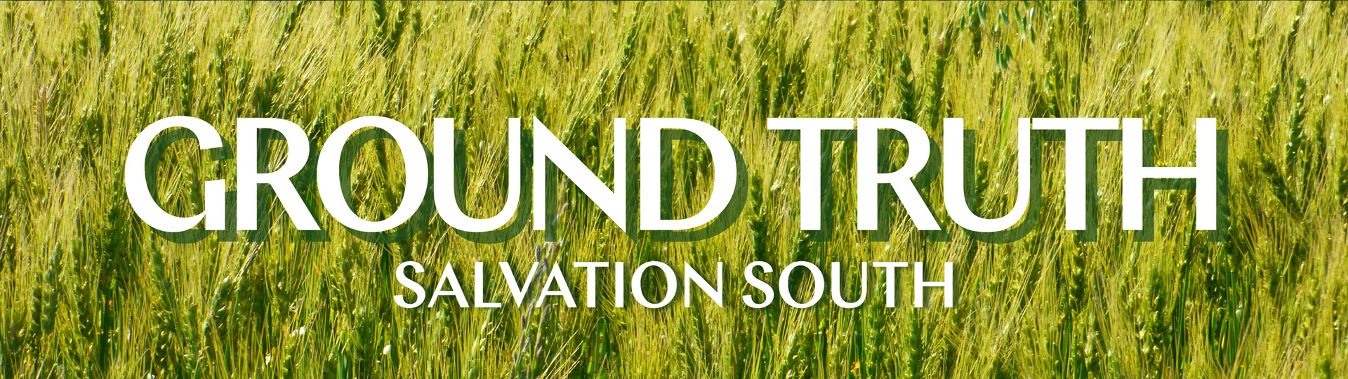 groundtruth---14 groundtruth---14
