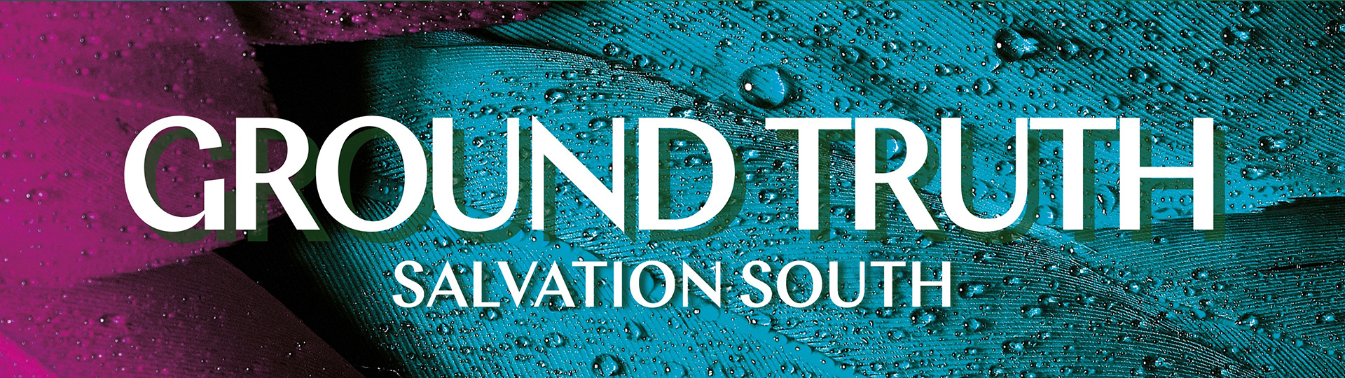 groundtruth---26 groundtruth---26