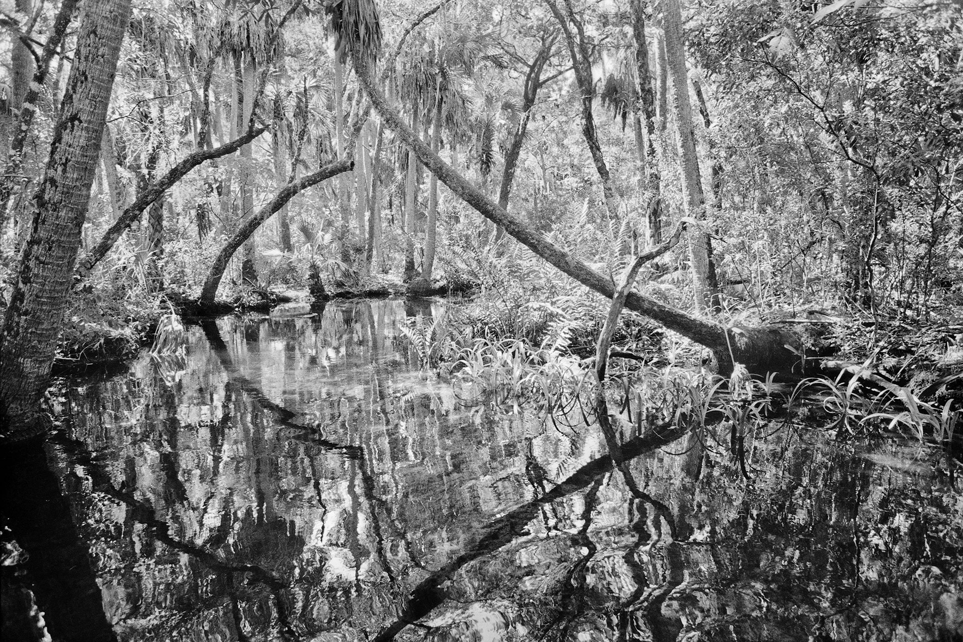 Blue Run, 1988. Photograph by Benjamin Dimmitt. 