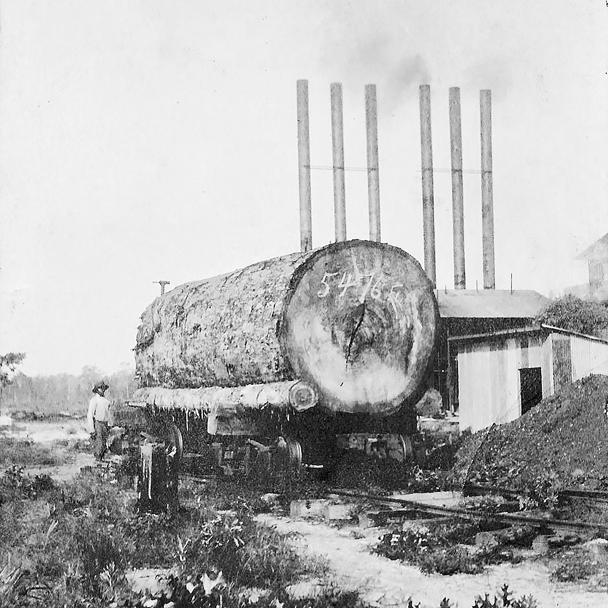 Centralia-Mill-&-Log,-1912