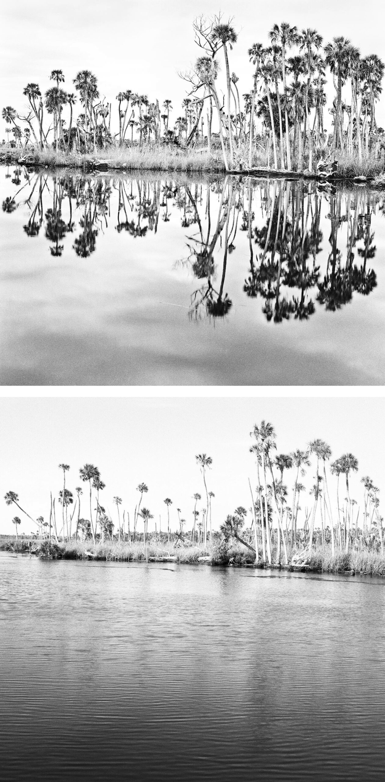 Creekside-2011,-2021 Creekside-2011,-2021