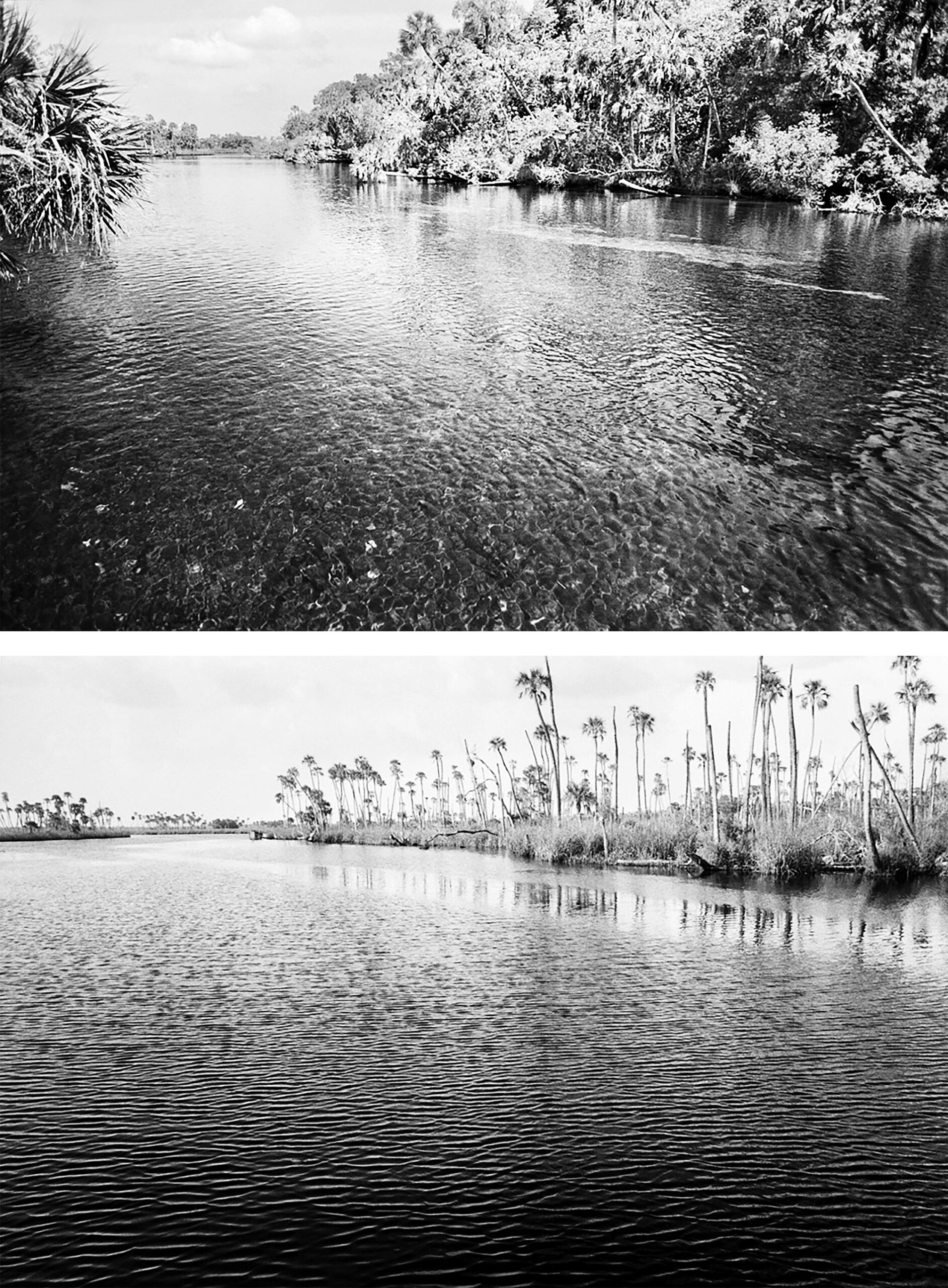 Downriver-1986,-2020 Downriver-1986,-2020