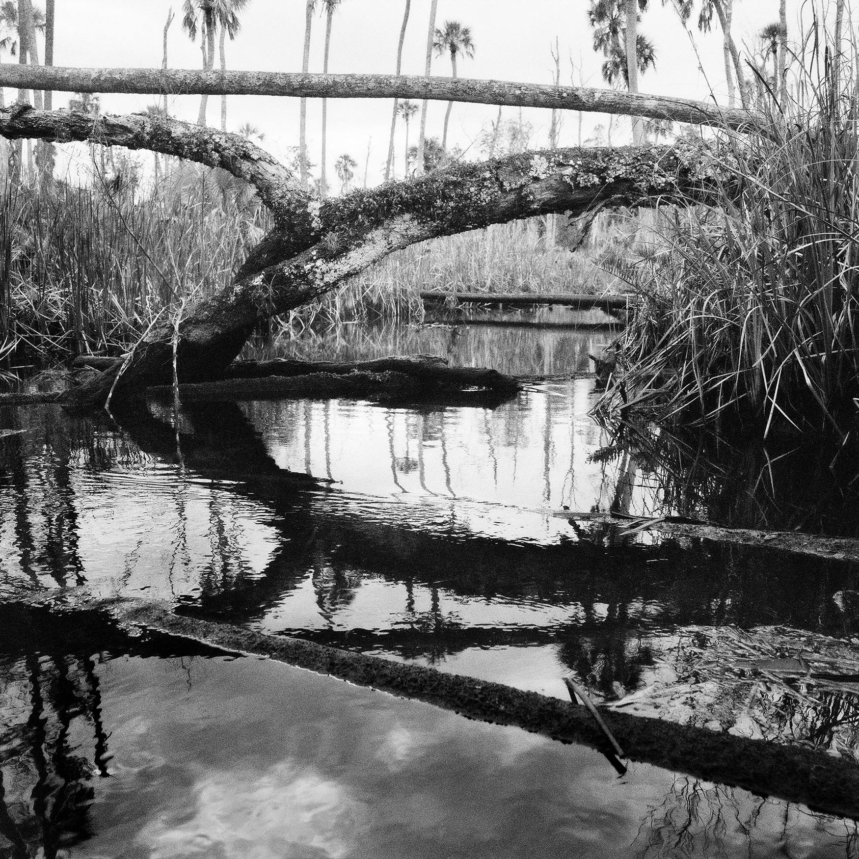 Impassable-Creek,-2022 Impassable-Creek,-2022