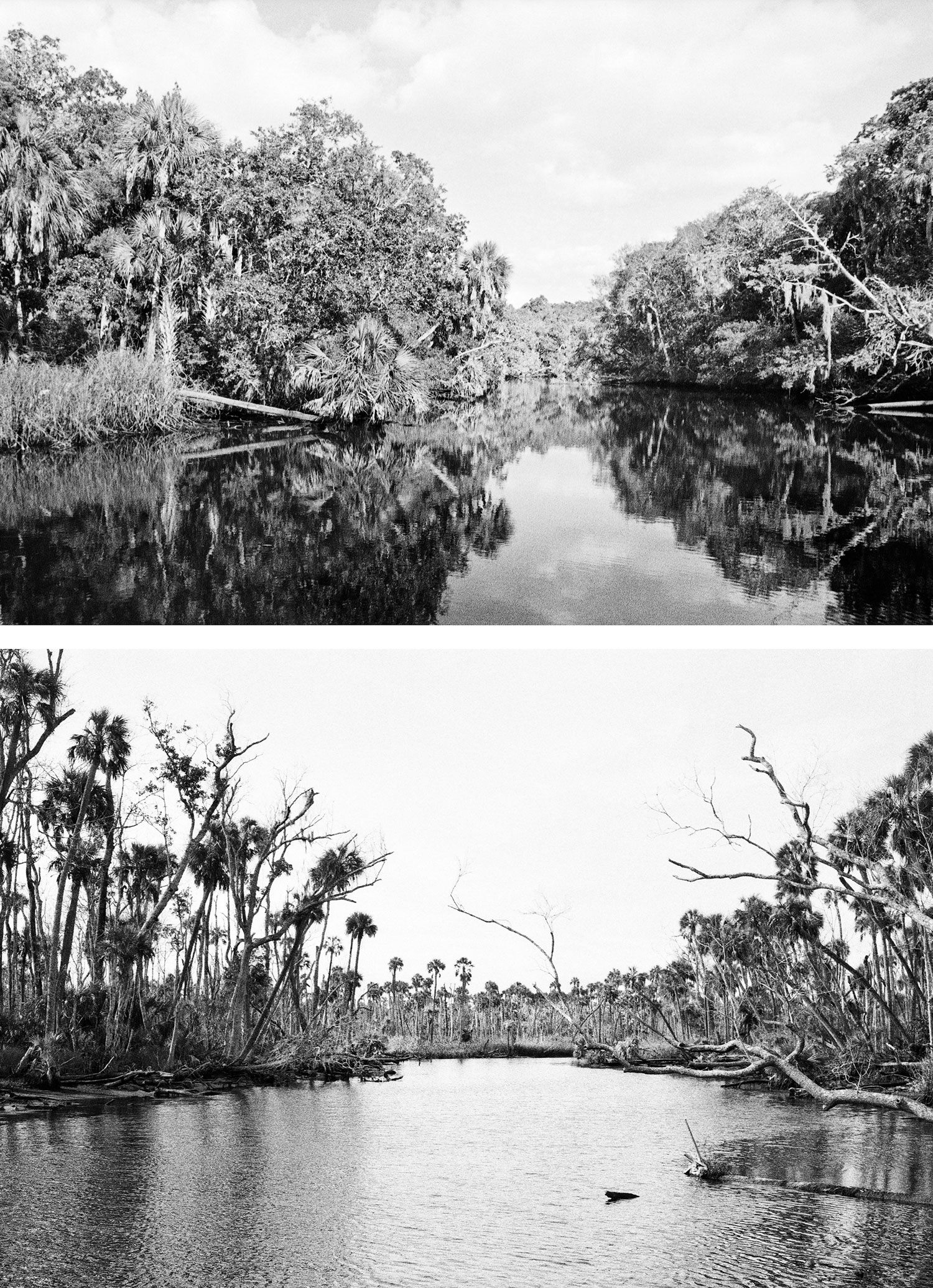 Lower-Crawford-Creek-1988,-2014 Lower-Crawford-Creek-1988,-2014