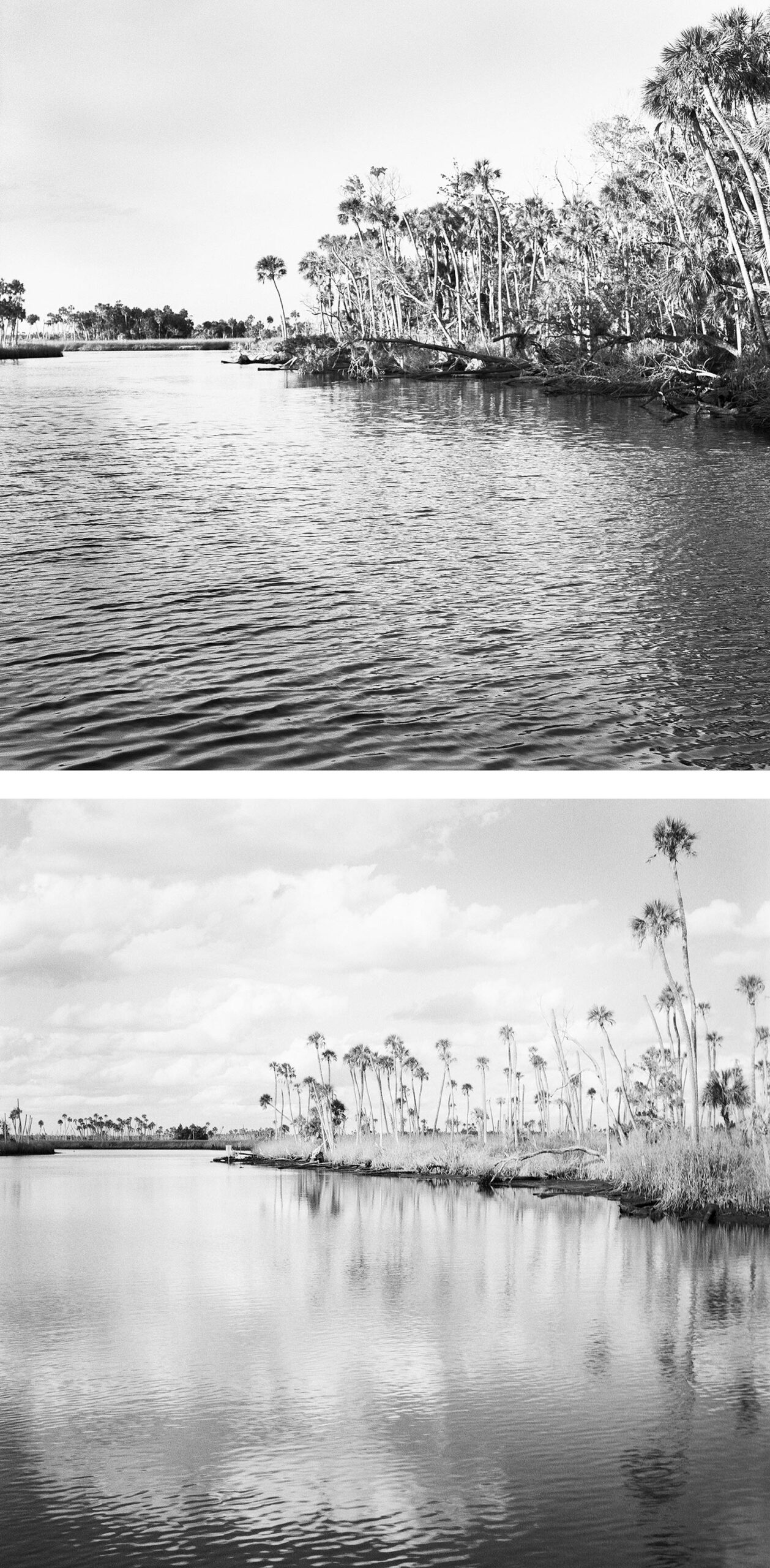 View-Downstream-2004,-2022 View-Downstream-2004,-2022