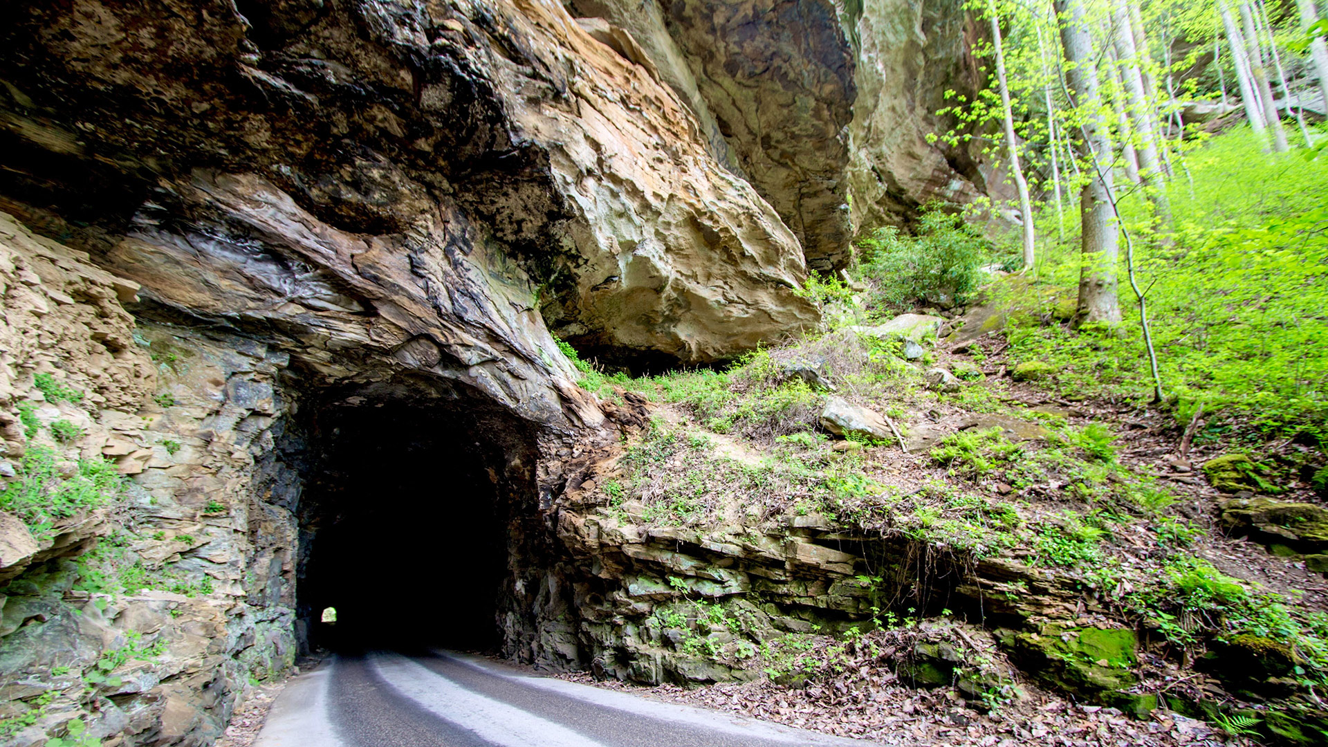 CONDENSED-nada-tunnel-shutterstock CONDENSED-nada-tunnel-shutterstock