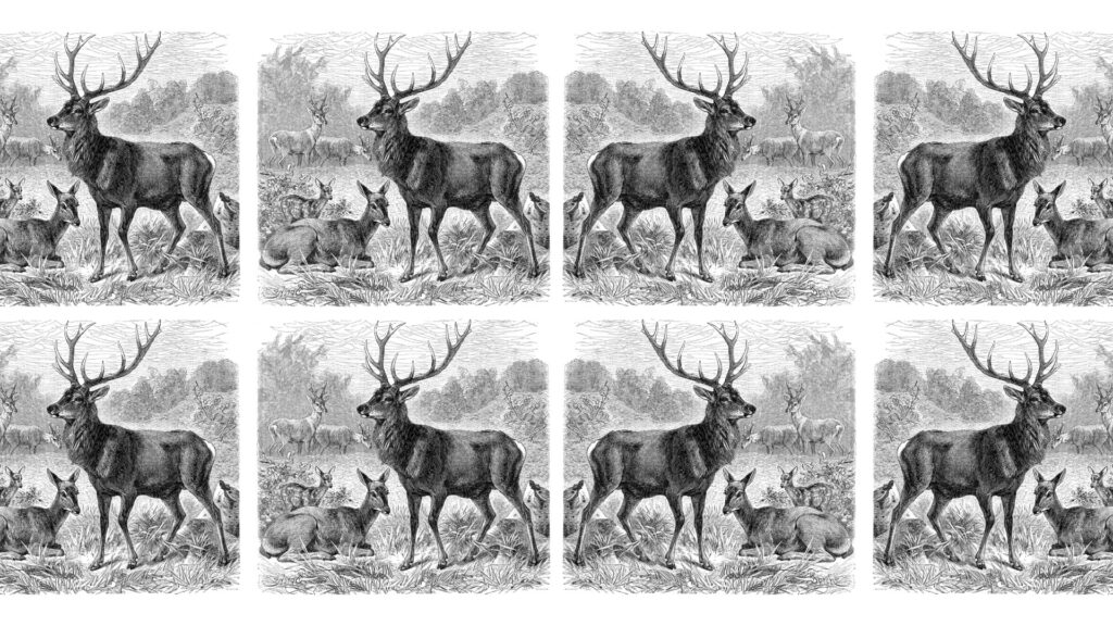 A vintage black and white engraving repeated in quadrants shows a majestic buck deer with full antlers standing alert in a woodland setting, accompanied by resting does. The image accompanies Paul Jones' new poetry collection in Salvation South magazine. In the background, additional deer graze peacefully. The detailed crosshatching and classical style of the illustration evokes themes of natural dignity, endurance, and timeless relationships in the American wilderness. The mirrored composition creates a symmetrical pattern that reinforces themes of reflection and contemplation.